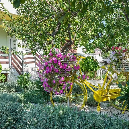 Holiday home Antonia With Pool Galovac (Zadar)